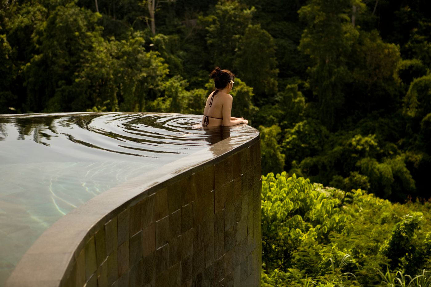 A quiet infinity pool above the forest