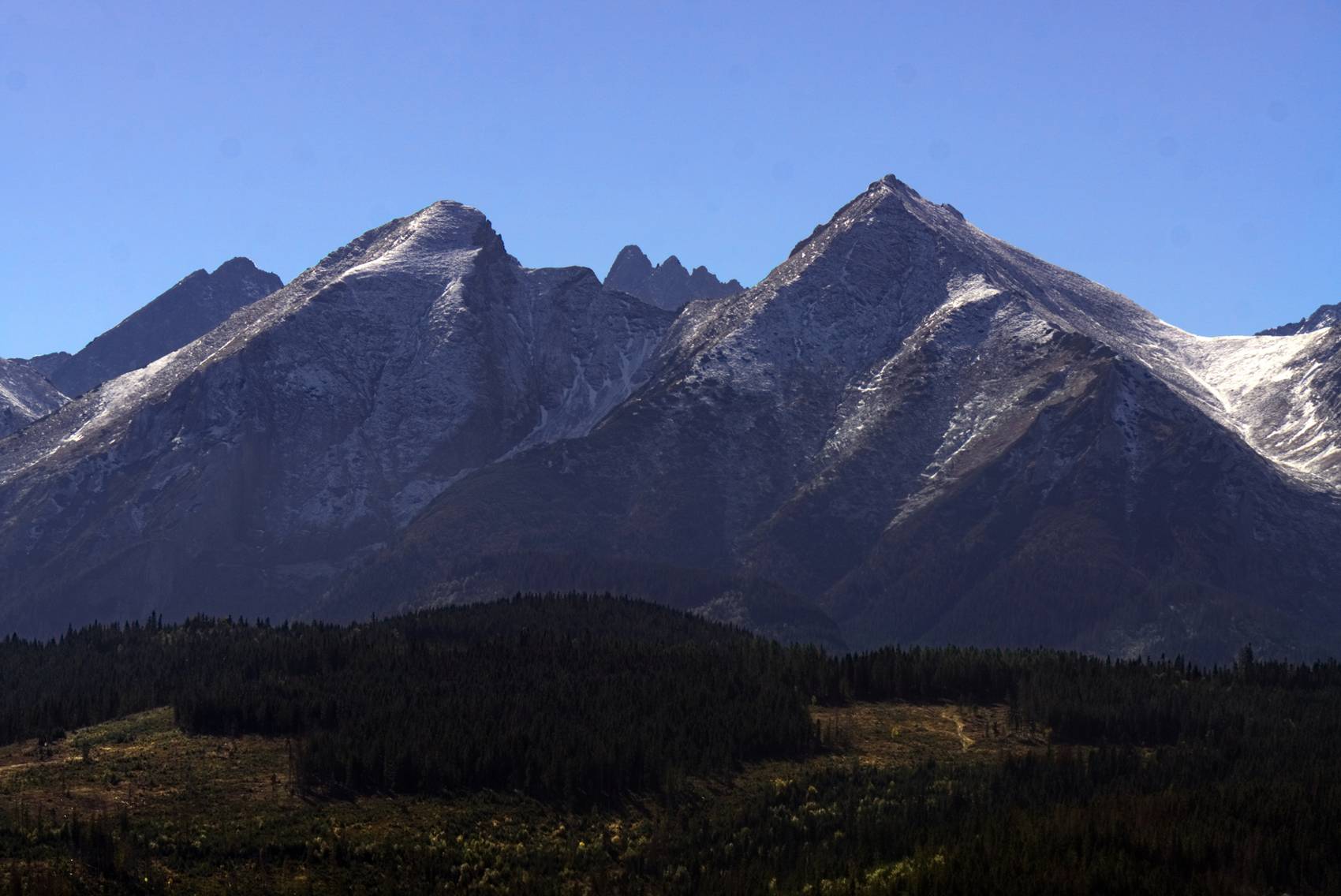 Snow-dusted mountain peaks rising above a dark forest under a clear sky